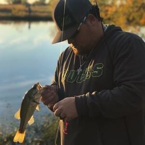 Meet your Posher, Blake